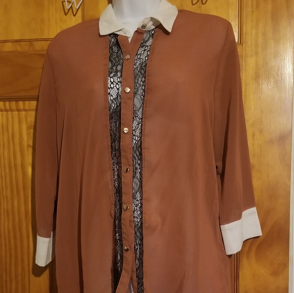 Brown sheer blouse